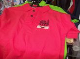 Camiseta Hollister & Fitch